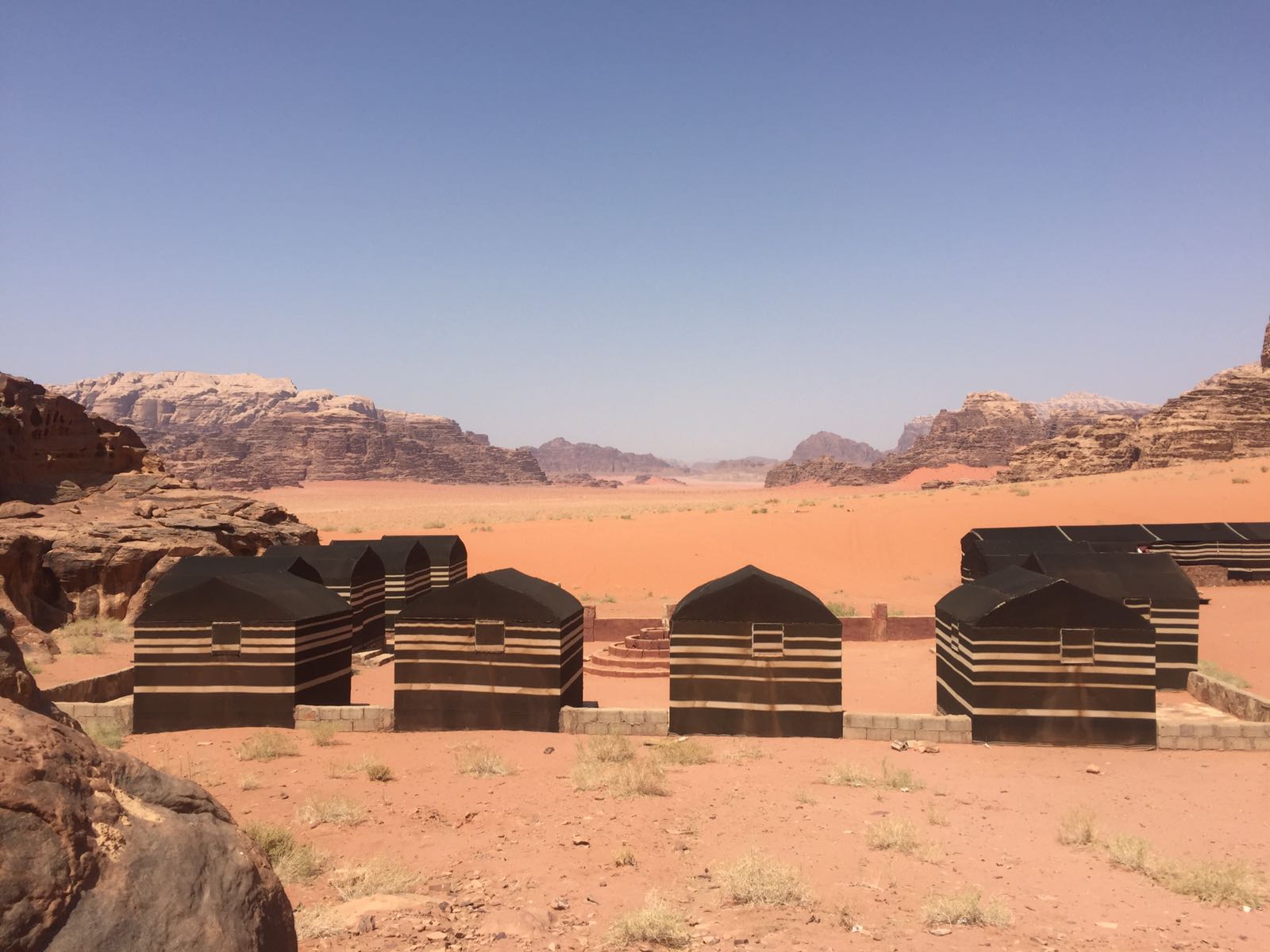 Wild Wadi Rum Camp In Wadi Rum Desert, Enjoy The Stay In Our Bedouin ...